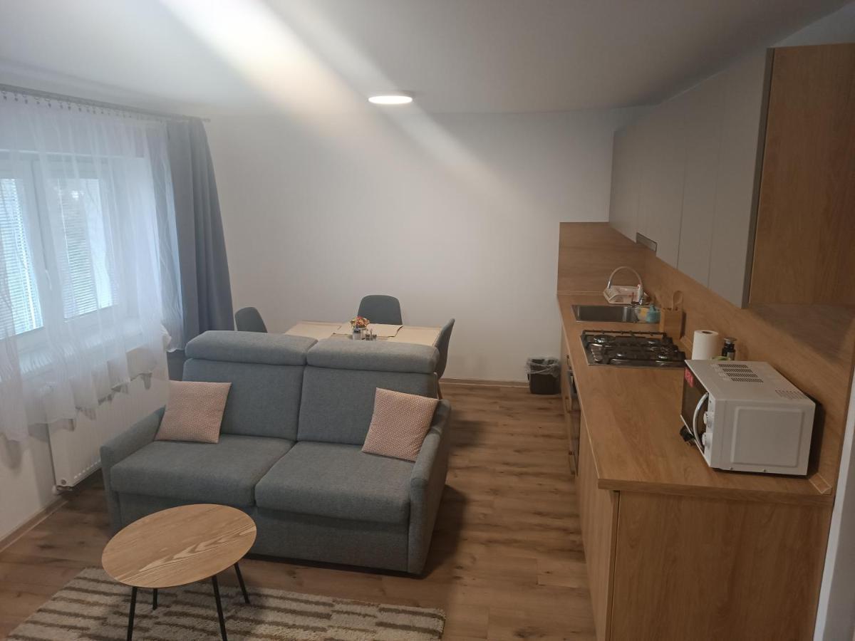 Apartmany Vila Juraj เตรนชิอาสกี เตปลิตเซ ภายนอก รูปภาพ